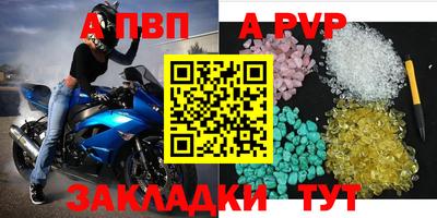 бошки Кингисепп