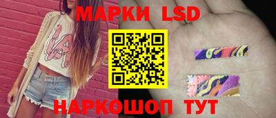 бошки Кингисепп