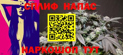 бошки Кингисепп