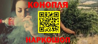 бошки Кингисепп
