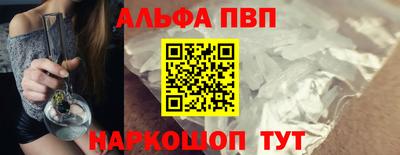бошки Кингисепп
