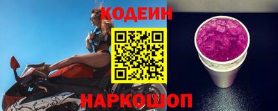 бошки Кингисепп