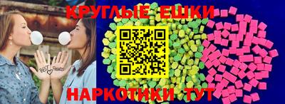 бошки Кингисепп