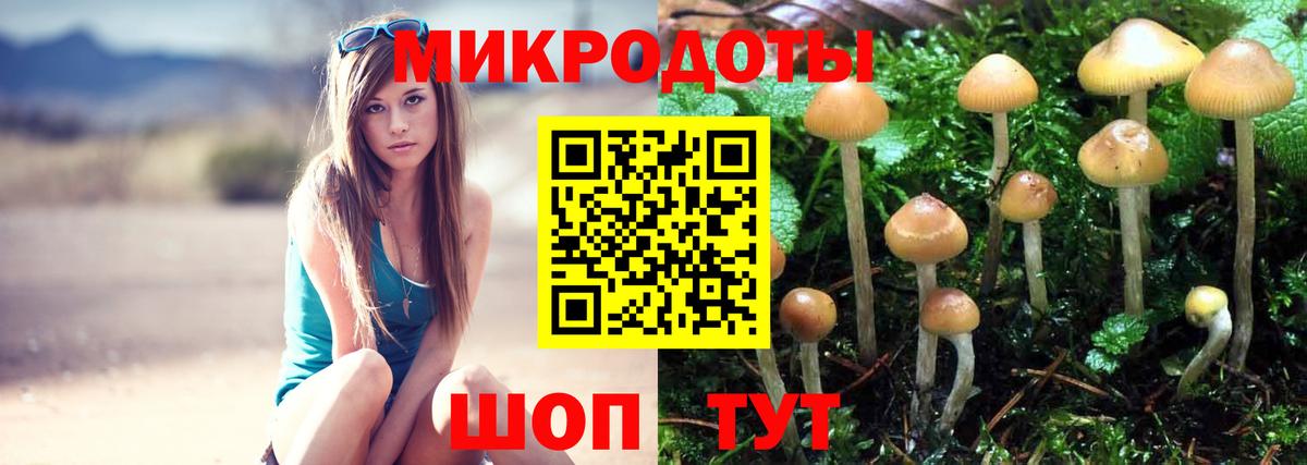 Галлюциногенные грибы GOLDEN TEACHER Кузнецк